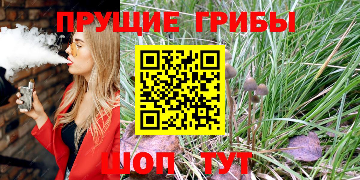 Псилоцибиновые грибы Psilocybine cubensis Горячий Ключ