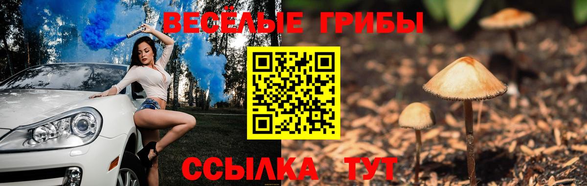 Псилоцибиновые грибы MAGIC MUSHROOMS  Вход с VPN  Галлюциногенные грибы Psilocybine cubensis  Горячий Ключ 